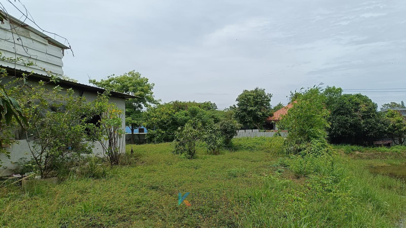 card-hightlight-image