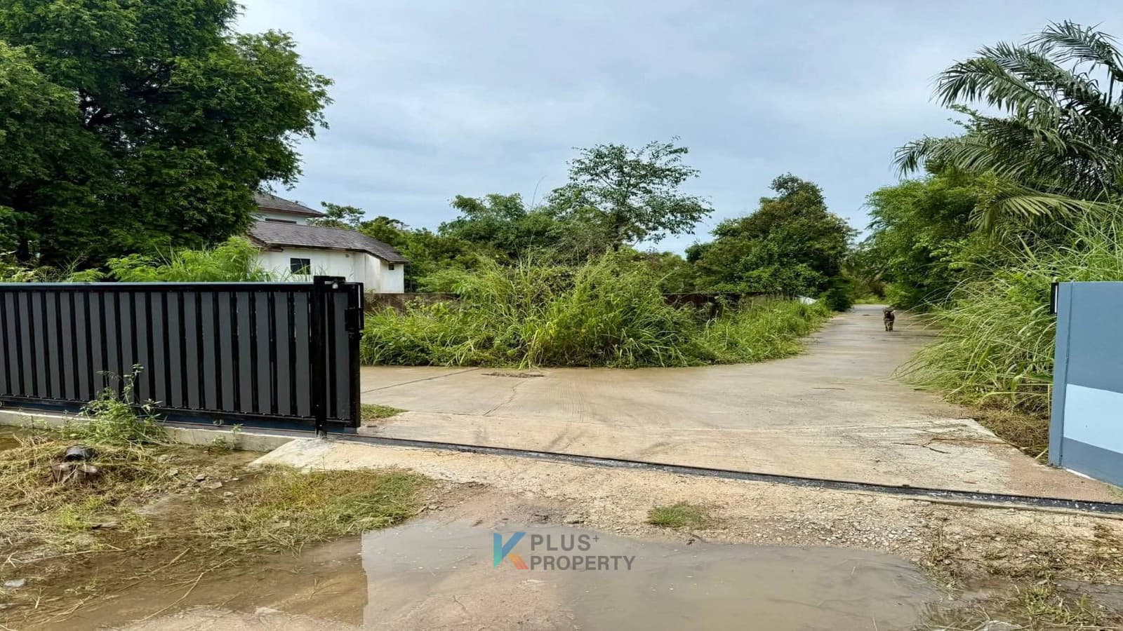 card-hightlight-image