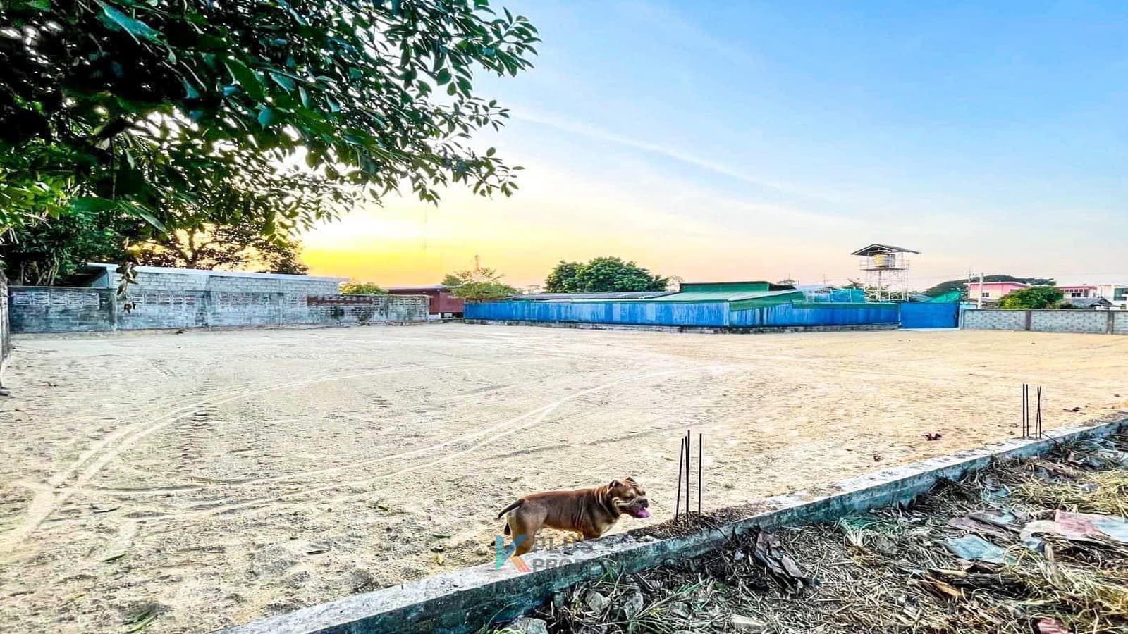 card-hightlight-image