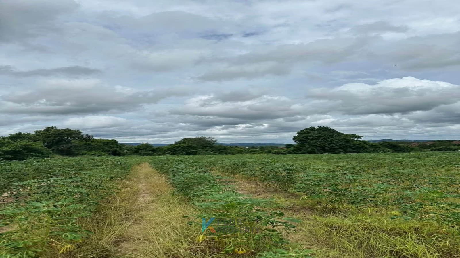 card-hightlight-image