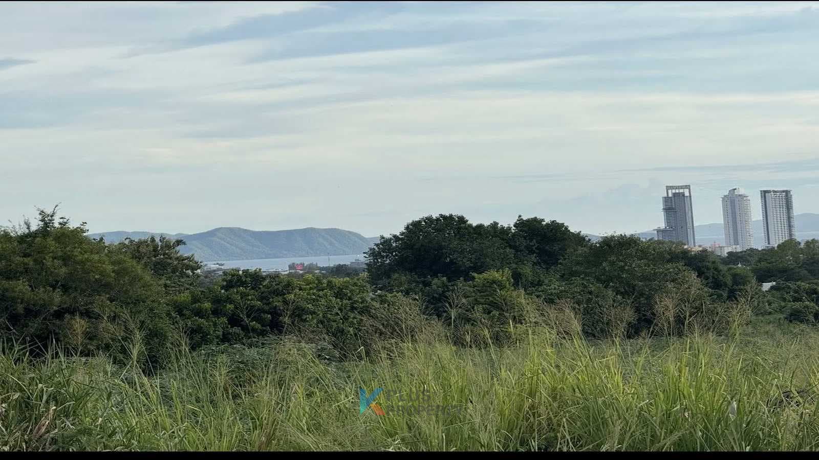 card-hightlight-image