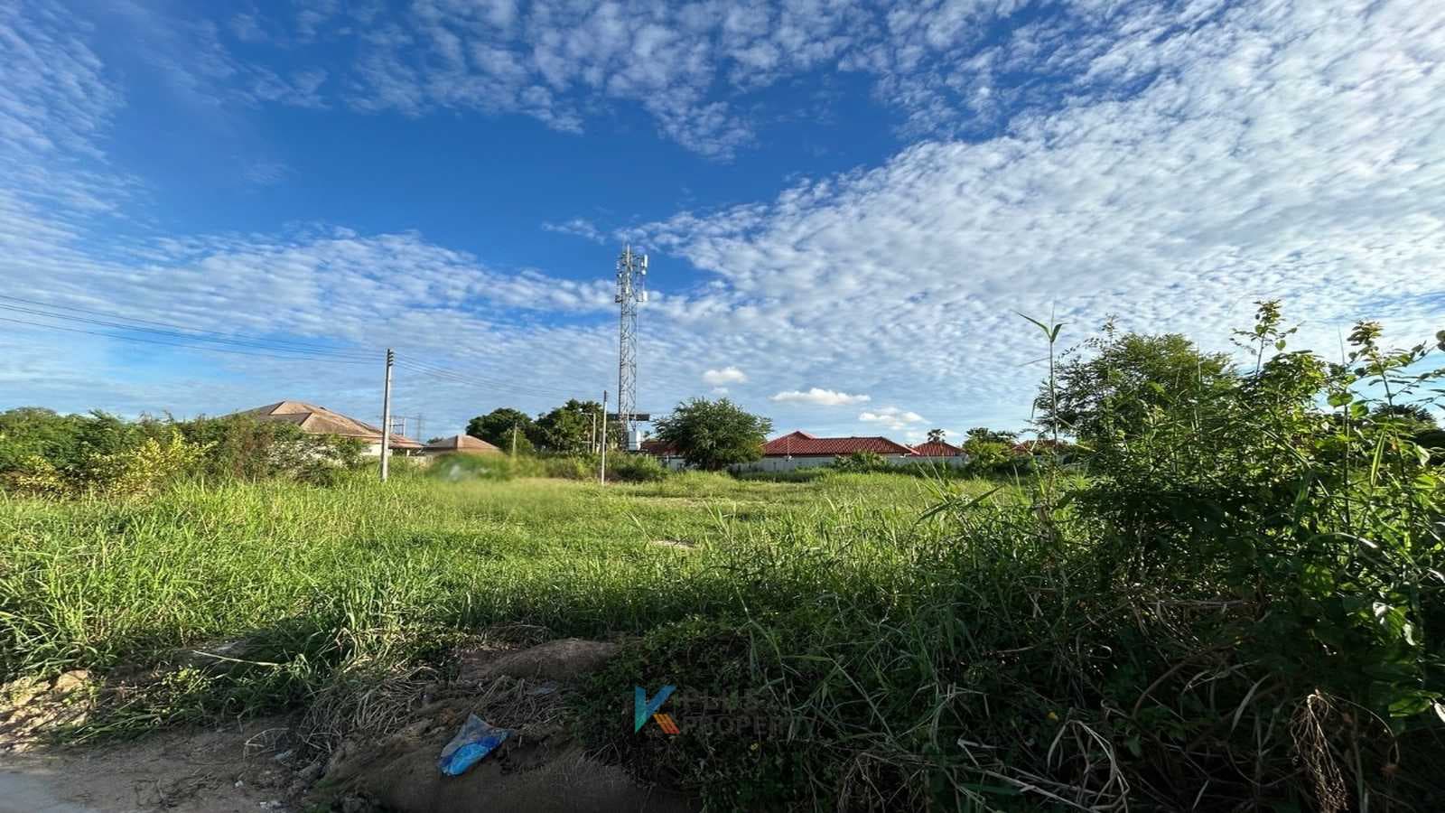 card-hightlight-image